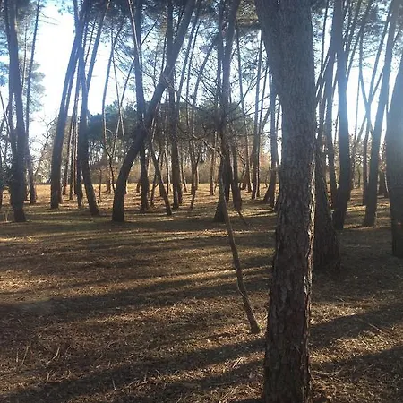 Agriturismo Frattavecchia