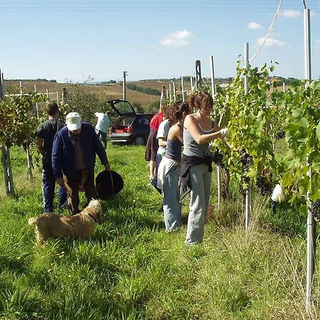 Agriturismo Frattavecchia * Castiglione del Lago