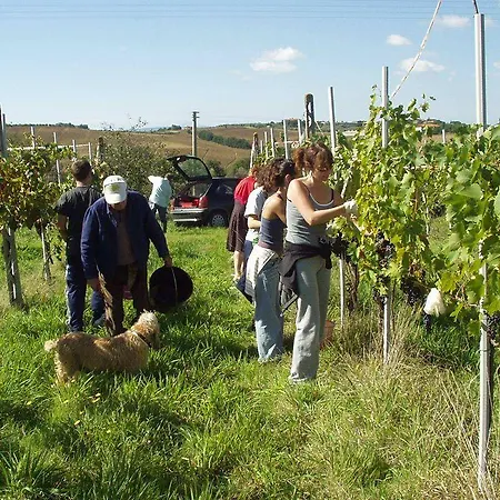 Agriturismo Frattavecchia * Castiglione del Lago