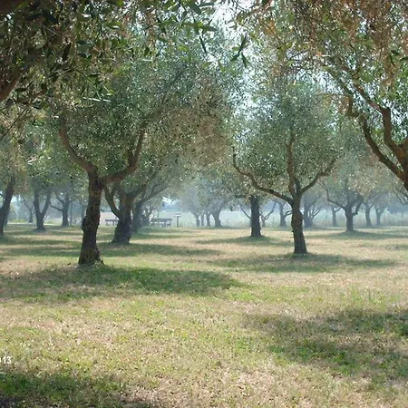 Agriturismo Frattavecchia *