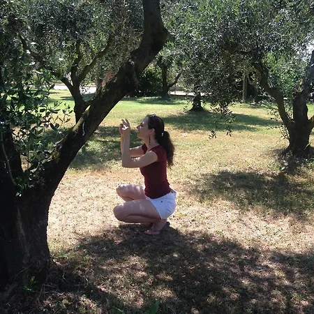 Alloggio per agriturismo Agriturismo Frattavecchia Castiglione del Lago