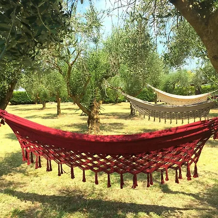 Agroturismo Agriturismo Frattavecchia *