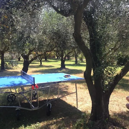 Alloggio per agriturismo Agriturismo Frattavecchia Castiglione del Lago