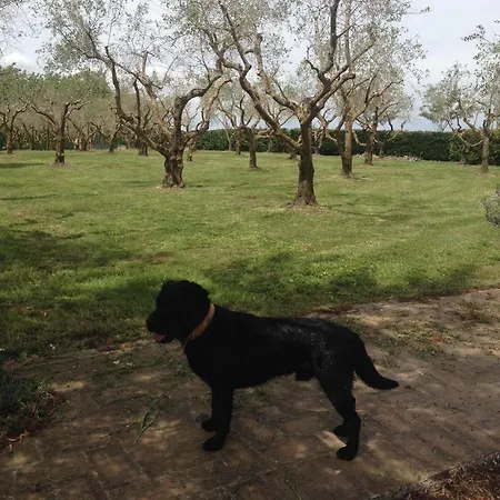 Agriturismo Frattavecchia Vakantieboerderij Castiglione del Lago