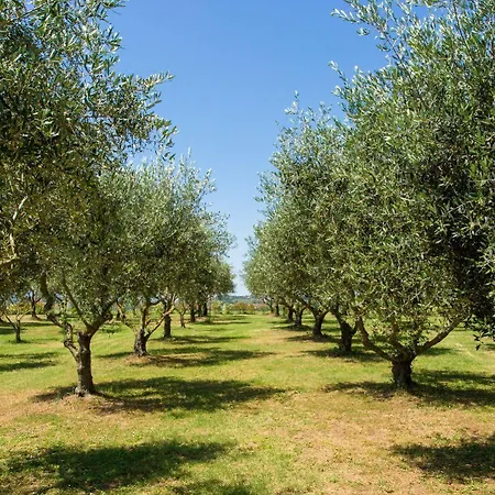 Alloggio per agriturismo Agriturismo Frattavecchia